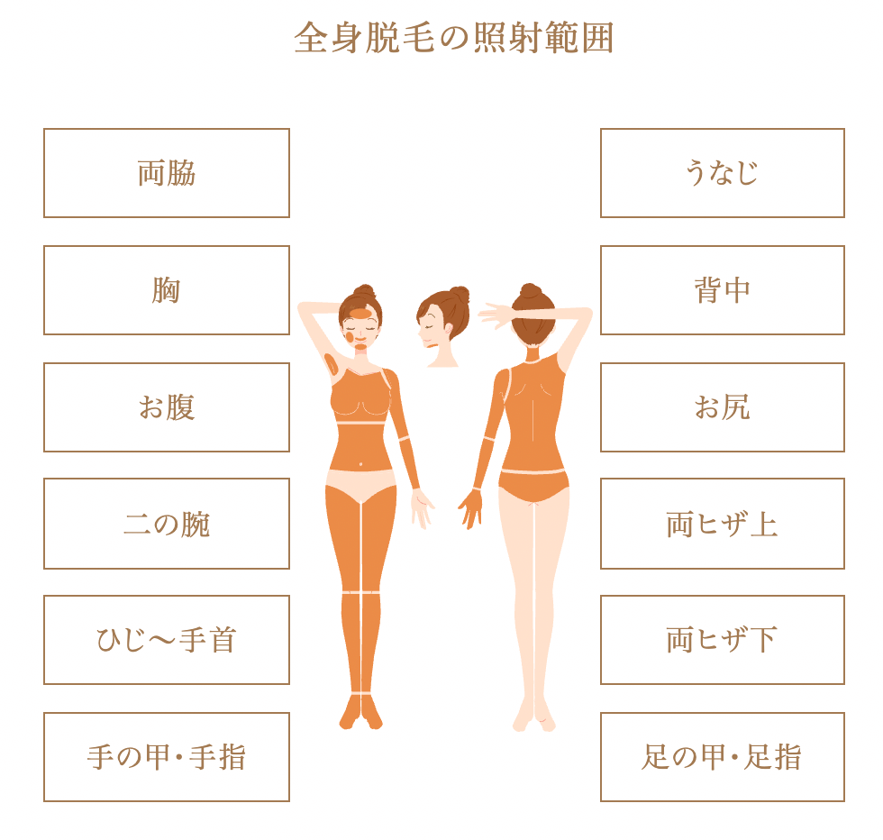 レジーナの脱毛範囲