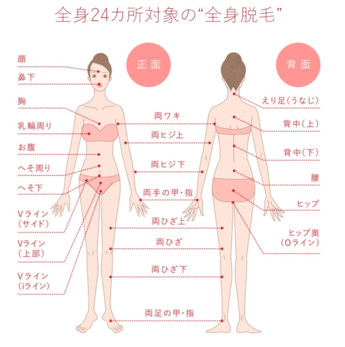 銀座カラー脱毛範囲