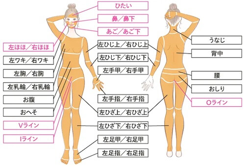 レジーナクリニック 脱毛範囲