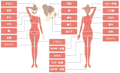 リゼクリニック 脱毛範囲